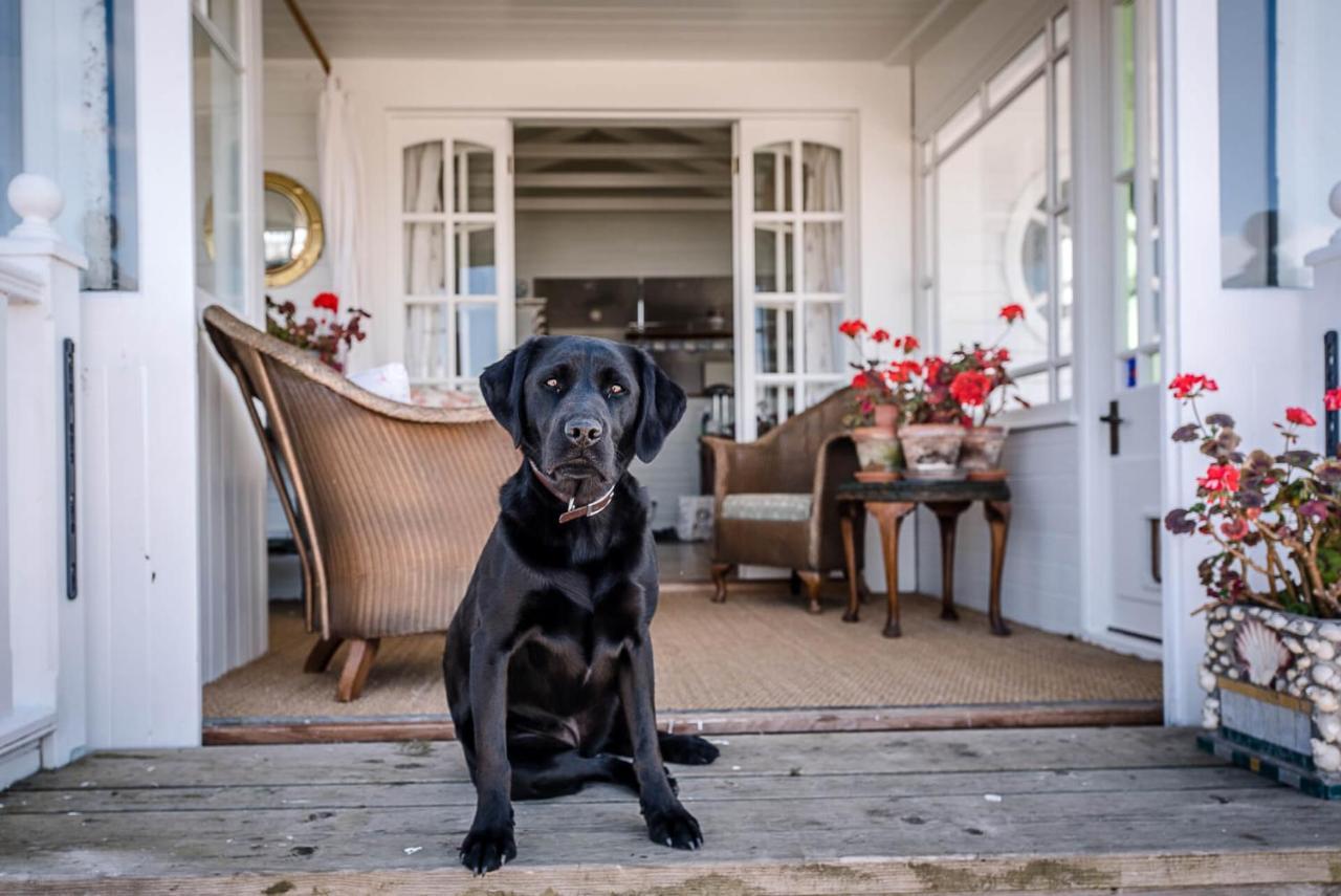 The Boathouse In Felixstowe Ferry - Stunning Waterfront Property Exteriér fotografie